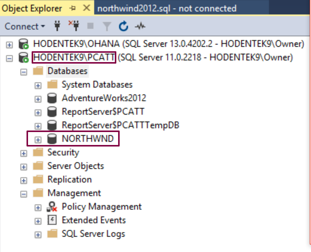 HodentekMSSS: Restoring the Northwind database from its backup