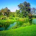 Nature Wallpapers