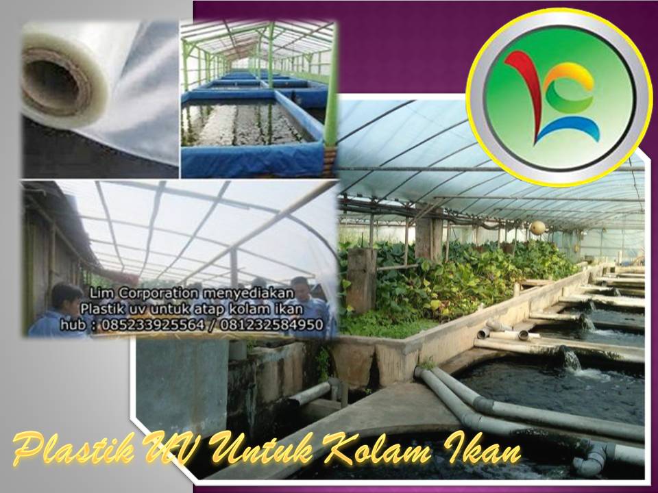 plastik uv bisa juga untuk kolam ikan jual plastik uv plastik uv bisa juga untuk kolam ikan jual plastik uv