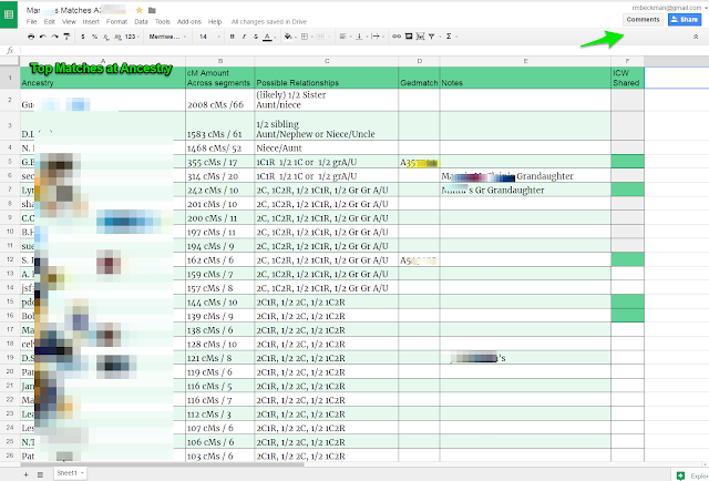 genealogy spreadsheet