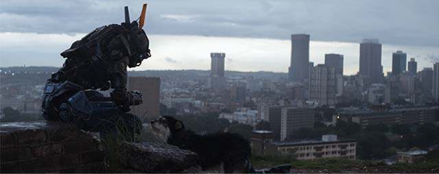 chappie sinopsis chappie sinopsis