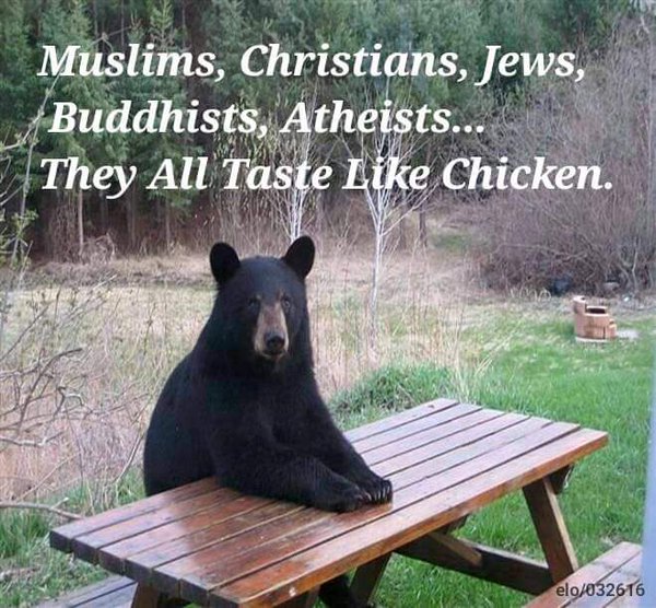 Religions Taste Like Chicken | funny bear meme picture