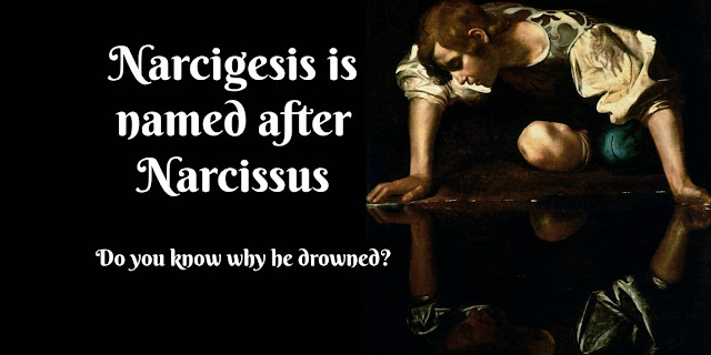To understand narcigesis - a seriously flawed way of looking at Scripture, we need to understand Narcissus of Greek mythology. #BibleLoveNotes #Bible
