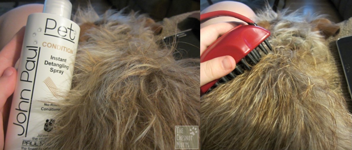 Review & Giveaway John Paul Pet Products The Chesnut Mutts