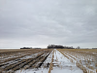 crop residue trapping snow