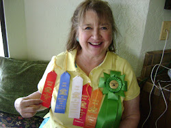 My Ribbons Earned at San Bernardino County Fair 2012