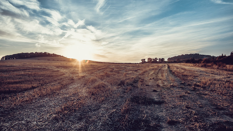 Hot October Landscape