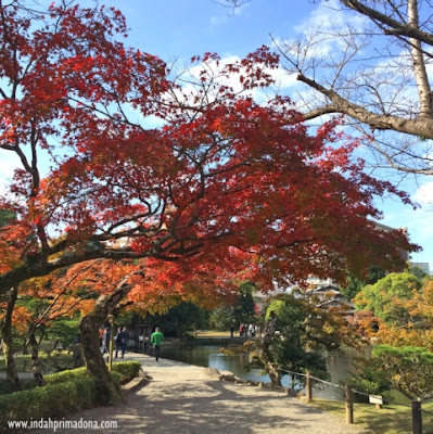 jalan-jalan ke Kumamoto, Suizenji Park, Kumamoto Castle