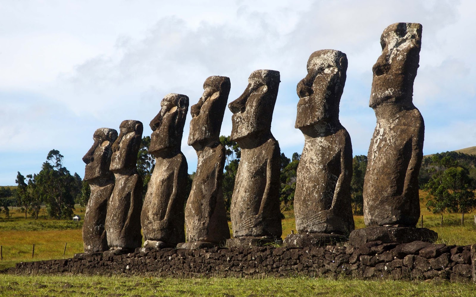 Каменные идолы. Каменные истуканы острова Пасхи. Каменные статуи острова Пасхи. Идолы острова Пасхи. Рапа-Нуи остров.