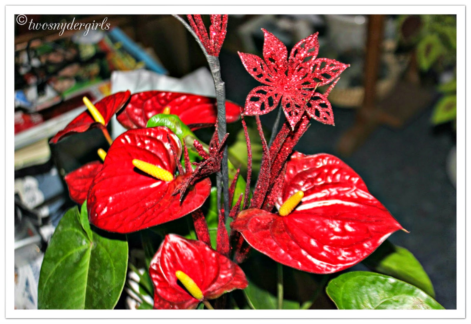 Red Flower