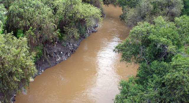 Alrededor de 4,500 empresas contaminan el río Atoyac