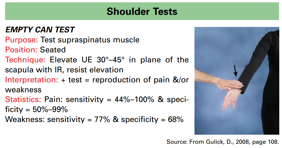 My can test. My can test. Can may must упражнения. Can could test. Myteststudent по информатике.