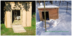 coops chicken winter coop bad ugly goose duck ventilation cold weather space windows reasons others very farm