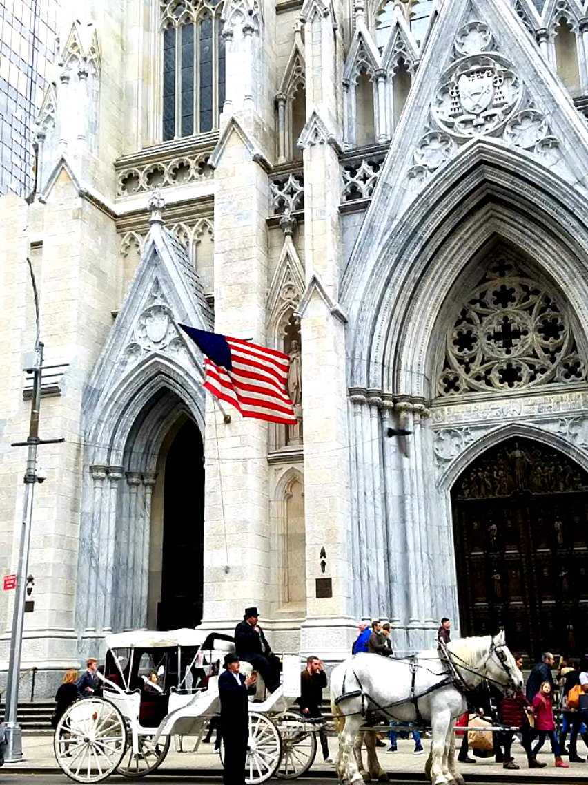 Dream Horse Carriage Company Wedding At St Patrick S Cathedraldream Photos Courtesy Of Dream Horse Carriage