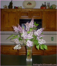 Lilacs | picture property of www.BakingInATornado.com
