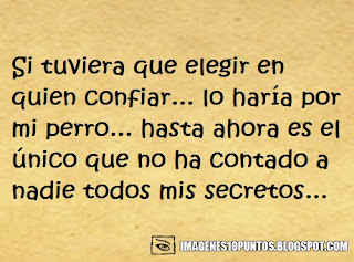 frases para perros frases para perros