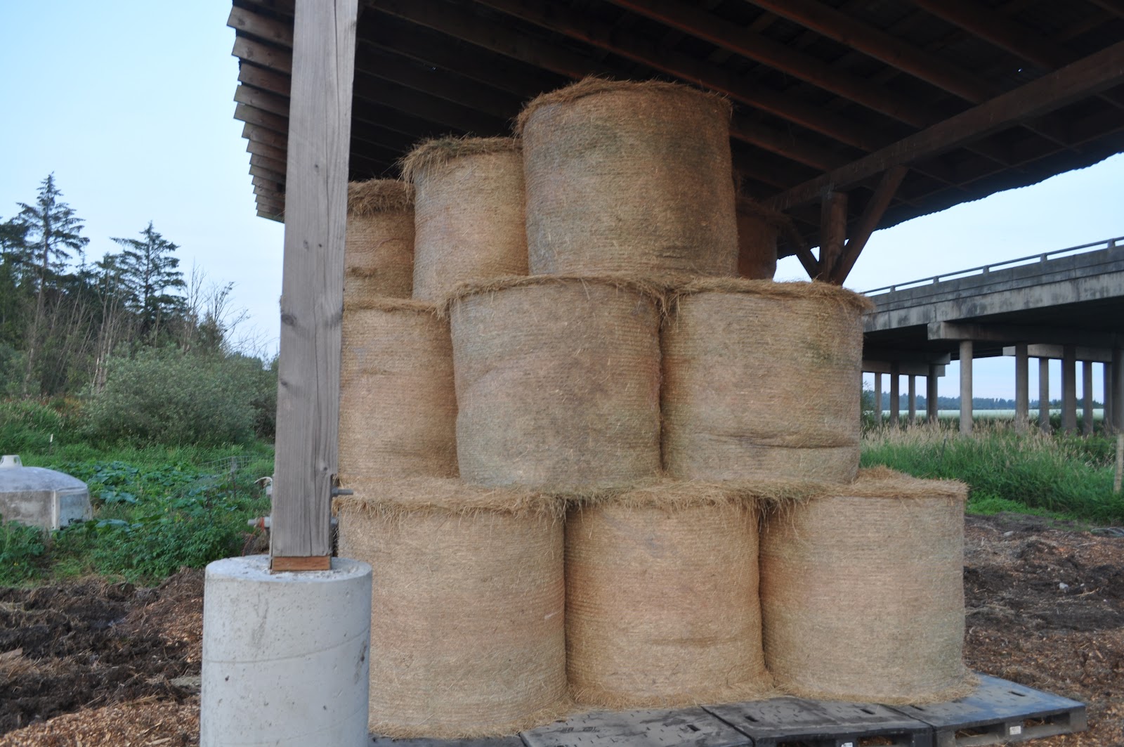 Curtis PDF Plans Hay Barn Designs 8x10x12x14x16x18x20x22x24