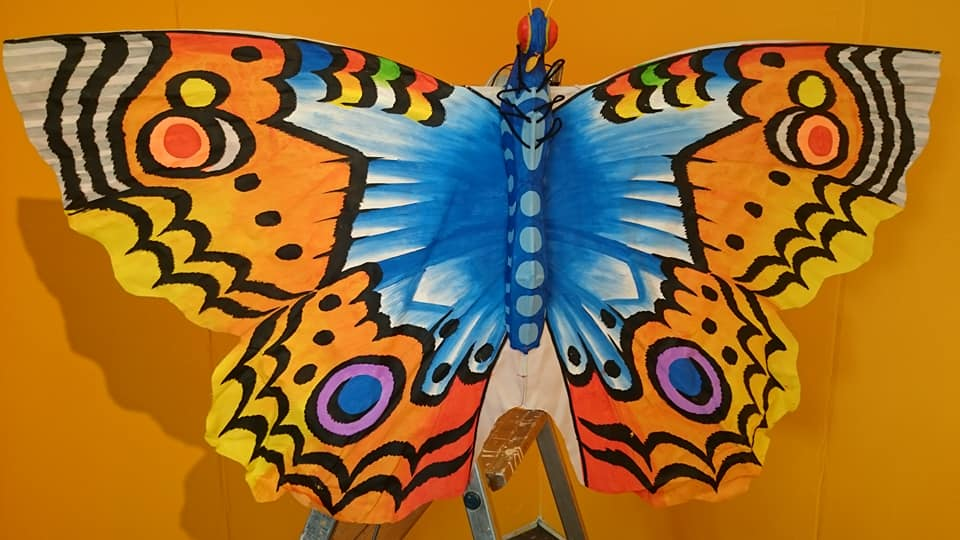 long-tong vlinder