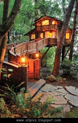 Q Mobile Hd Wallpaper Download