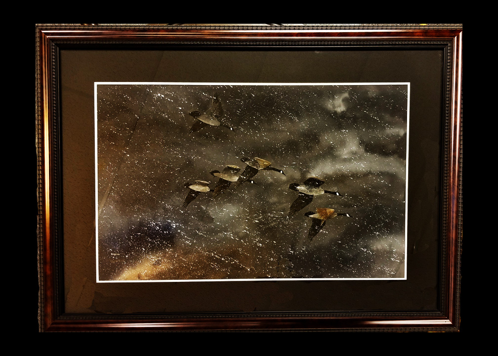 Skipjack's Nautical Living Virginia Artist Herb Jones Personal