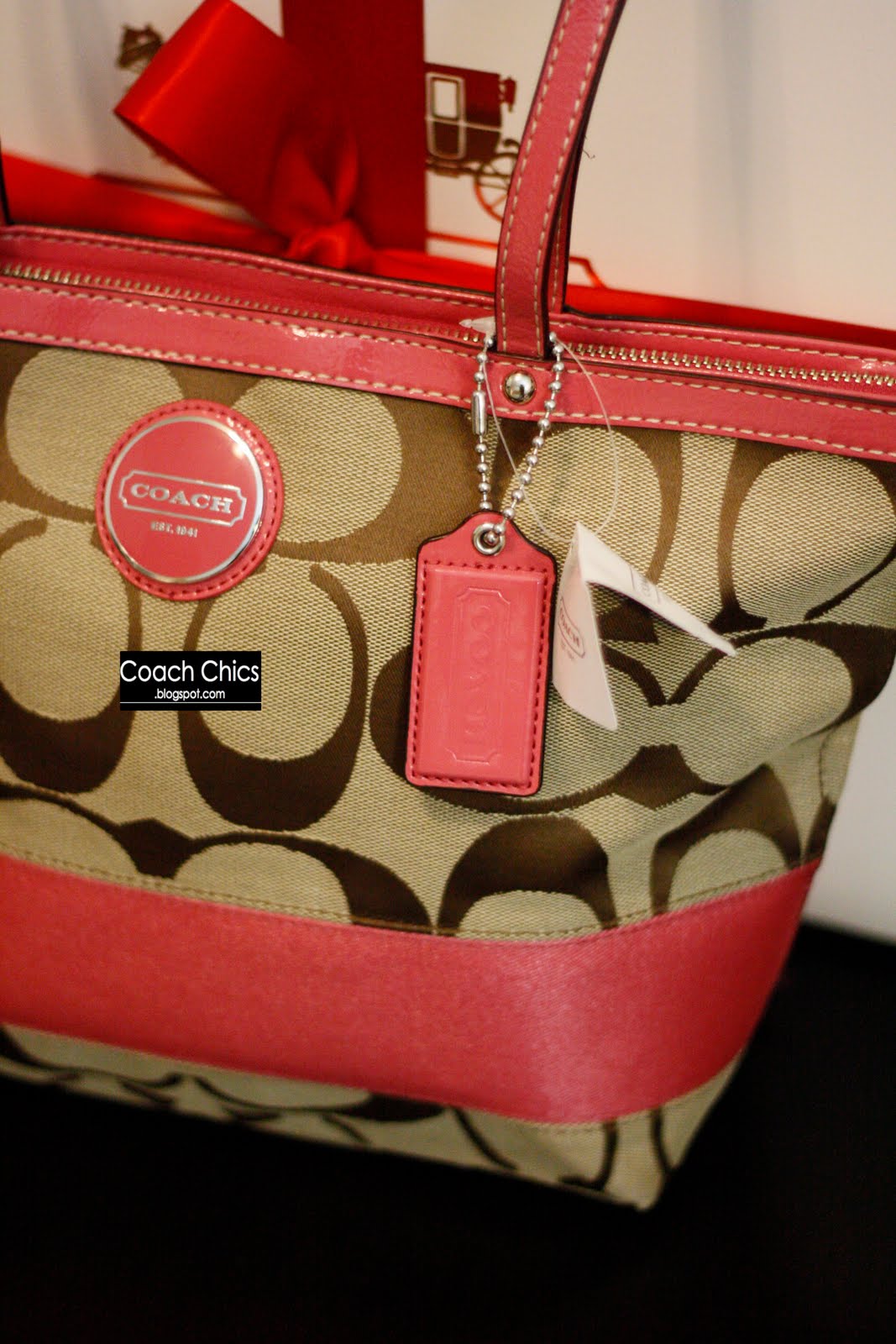 Coach Chics NEW COACH COLLECTION Signature Stripe Tote