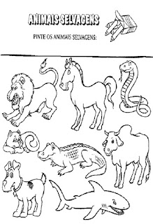 Animais domésticos e selvagens Animais domésticos e selvagens