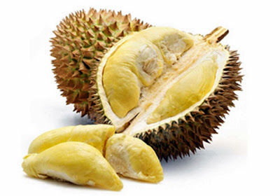 kandungan nutrisi buah durian