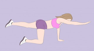 Bird Dogs Para Crecer Los Gluteos Bird Dogs Para Crecer Los Gluteos