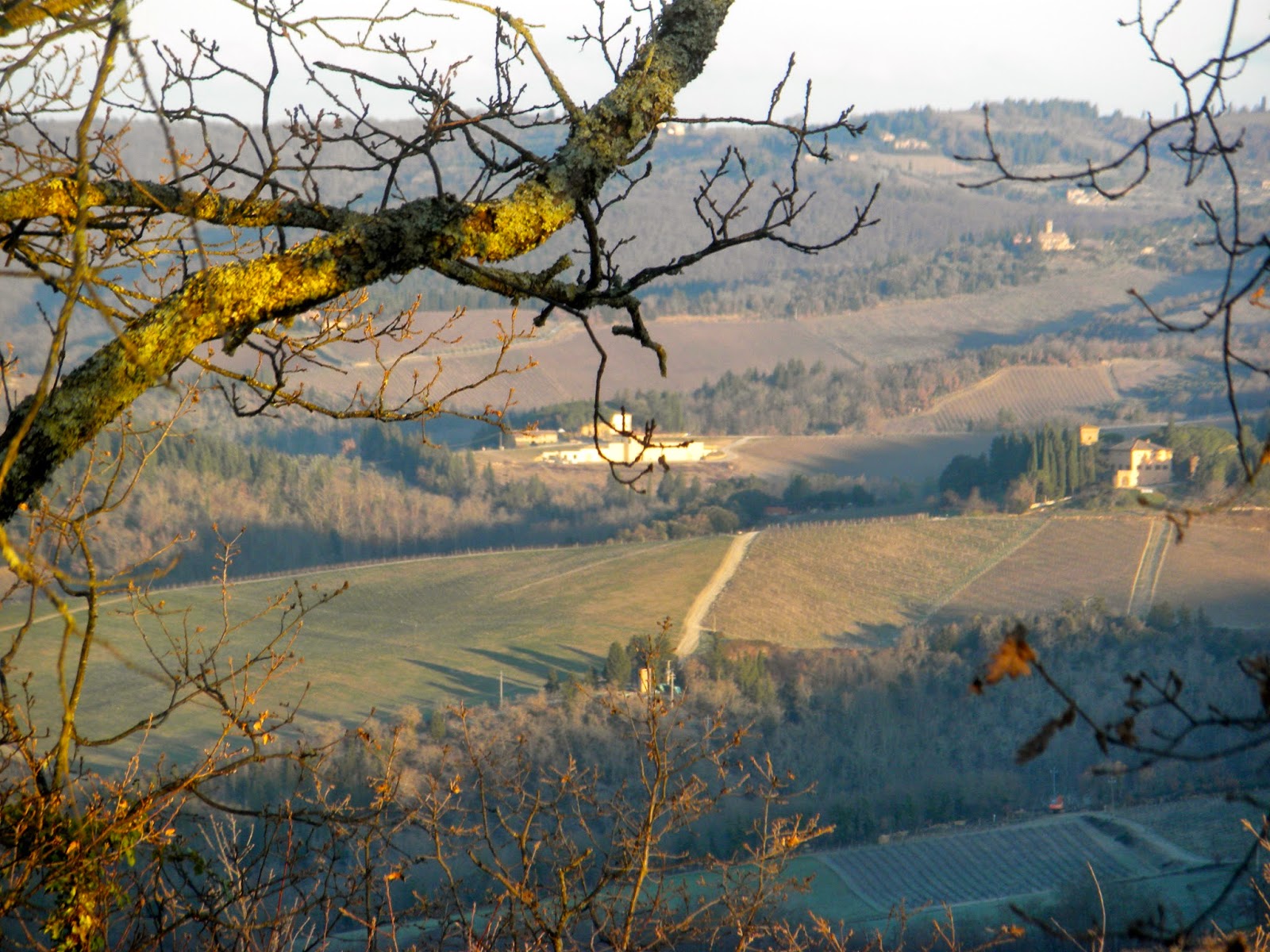 Le Ripe views