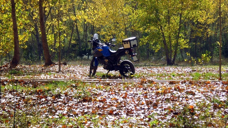 GathoAlpatro_038.JPG
