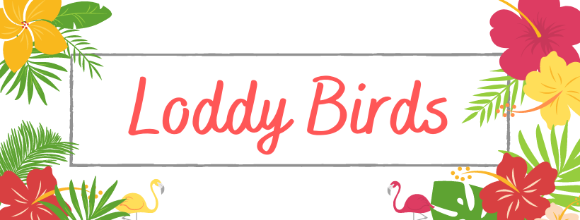 Loddy Birds