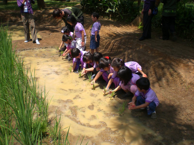 TB & TK KELINCI: OUTBOUND CISEENG PELITA DESA