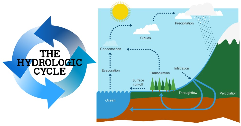 Hydrologic Cycle Steps & Explanations