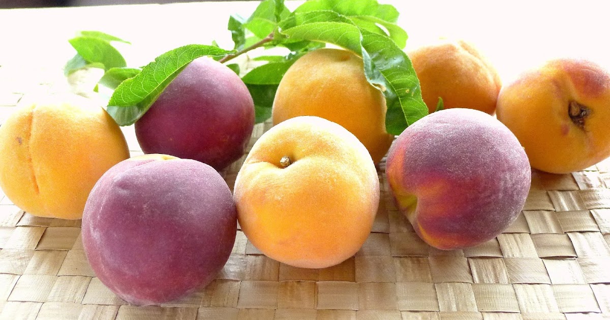 MY KITCHEN IN SPAIN THE ALLURE OF PEACHES