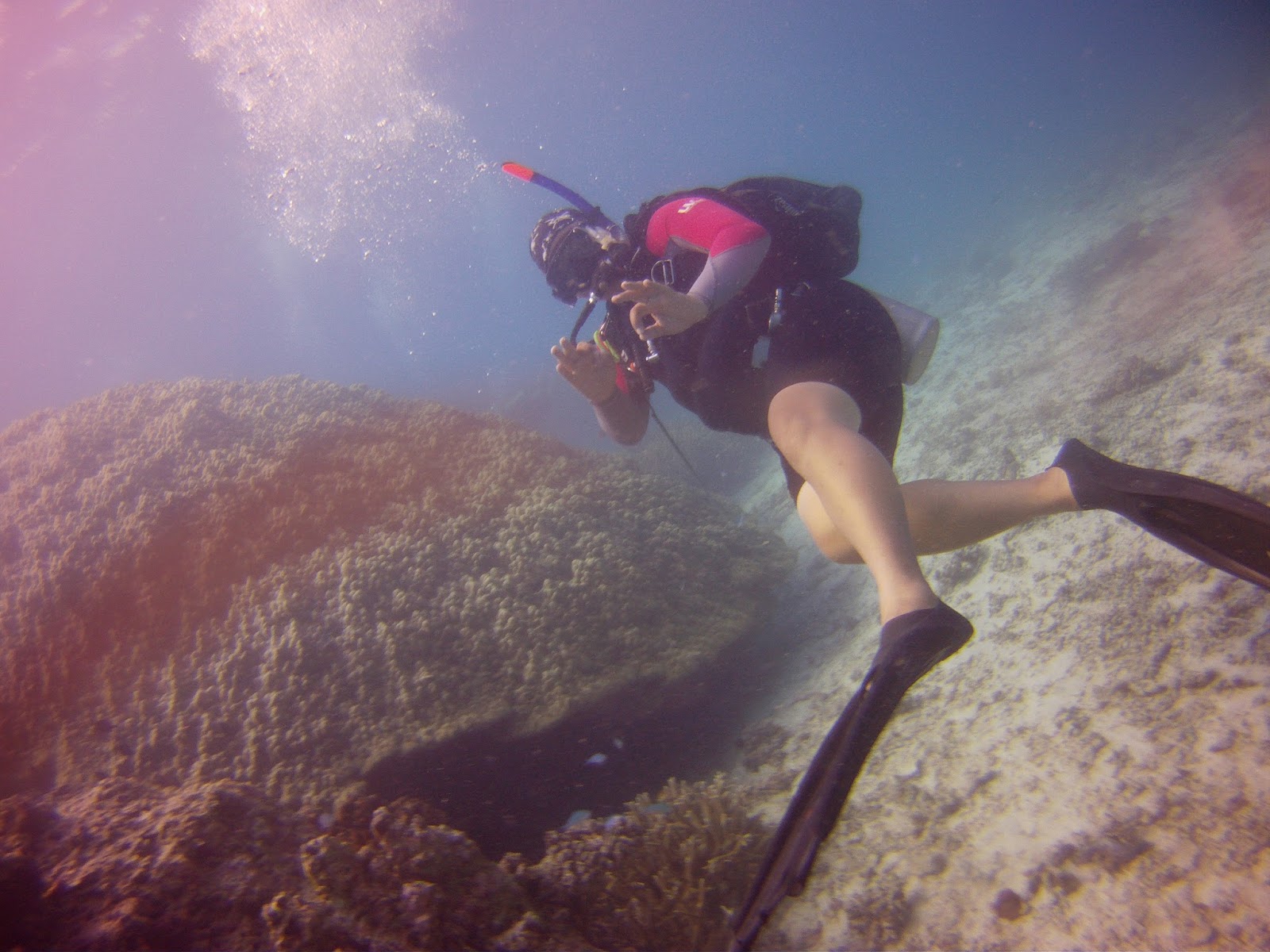 Ocean Diver Malaysia Ocean Explorer about