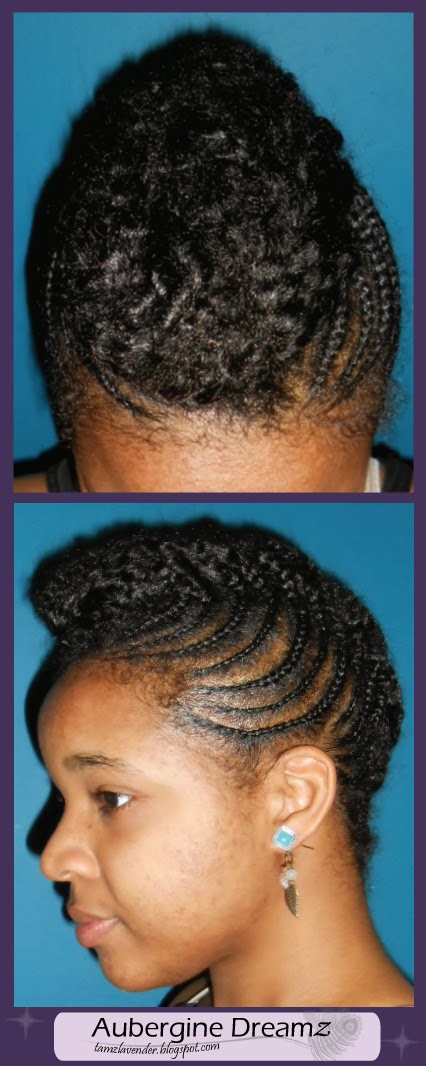 Aubergine Dreamz: Natural HairStyles: Braided Updo
