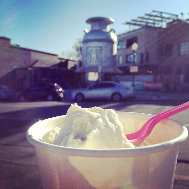 Never Turn Down A Cupcake Denver Visit Little Man Ice Cream