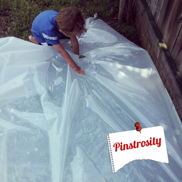 Pinstrosity Redneck Water Bed