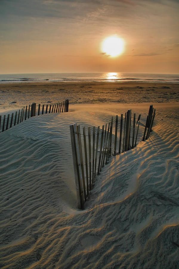 Carolina Meets Cali North Carolina