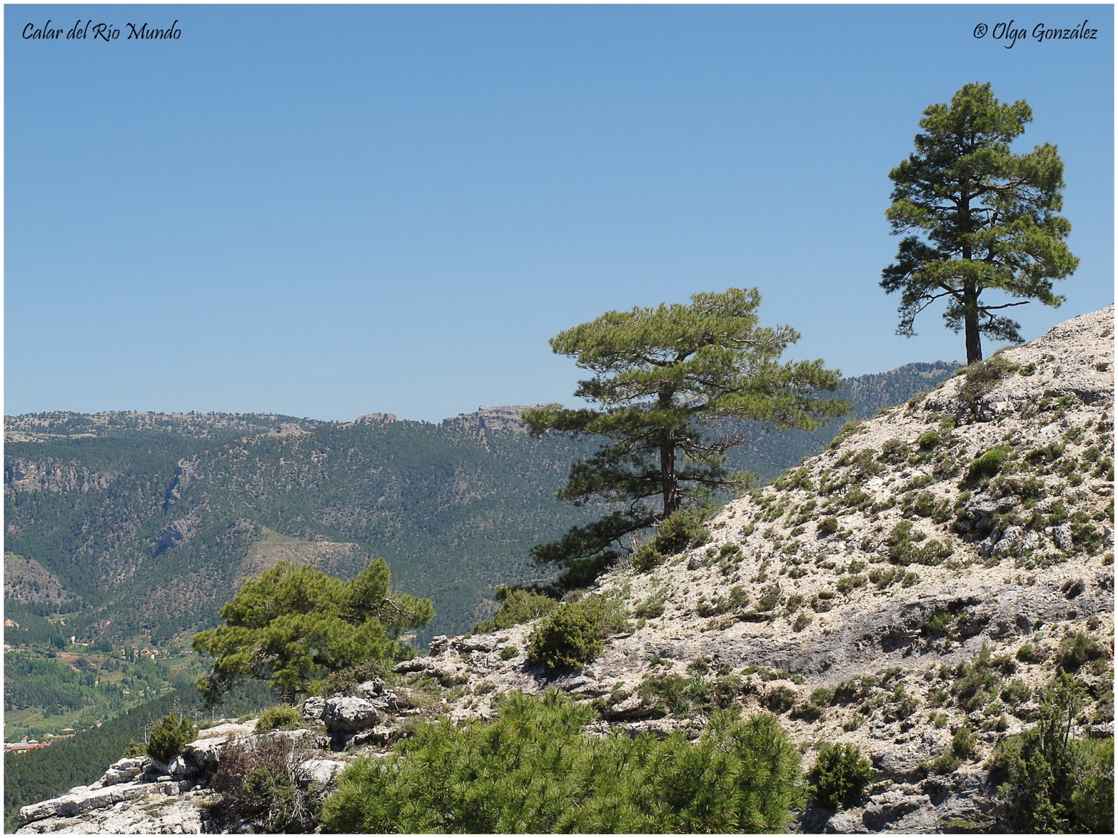 Tu Mundo en Mi Mirada