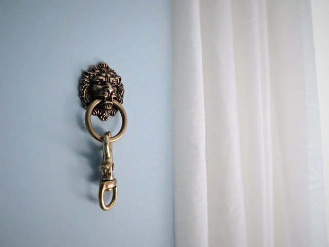 lion head drawer pull installed on wall