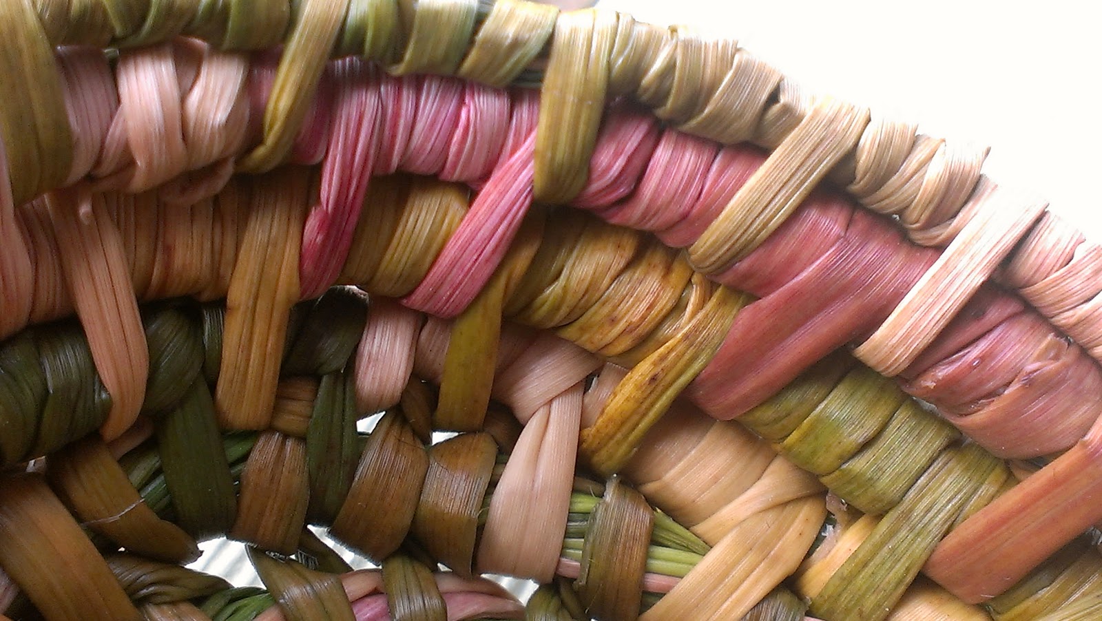 Glut a year in my patch Weaving the reeds