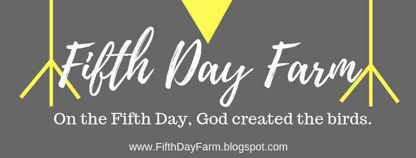 Fifth Day Farm