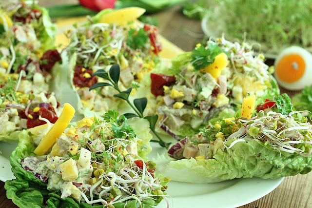 Kiełki jak hodować i z czym to się je