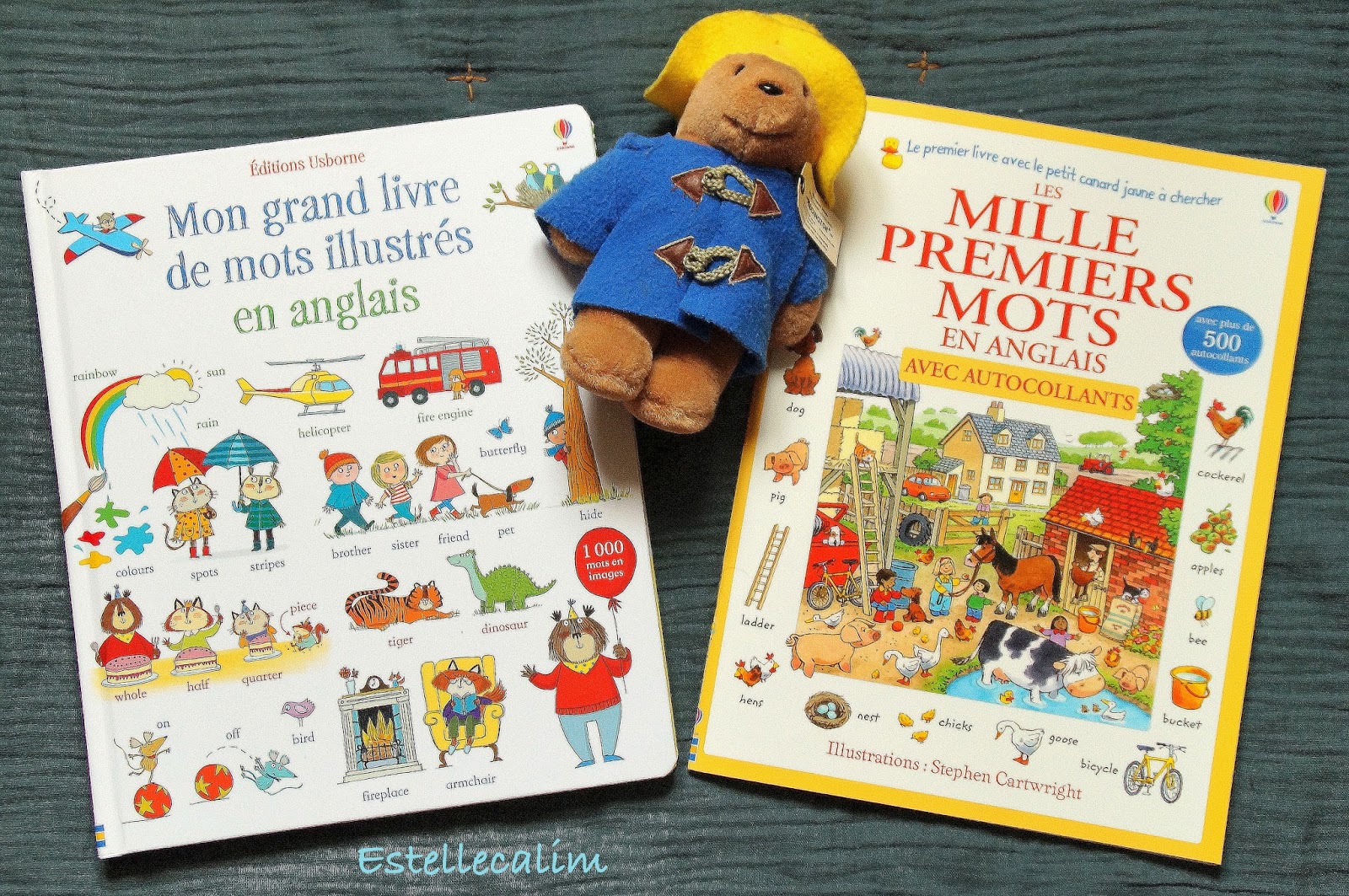 lire-relire-ne-pas-lire-des-imagiers-so-british