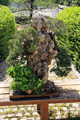 Real Jardín Botánico - Madrid Real Jardín Botánico - Madrid