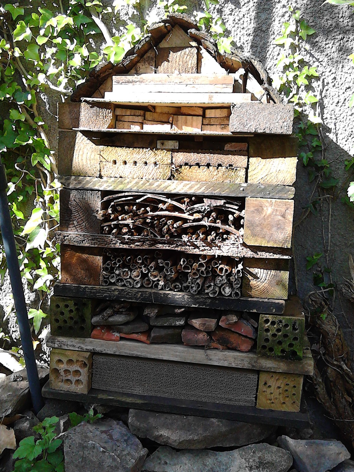 Bug hotel powerpoint picture