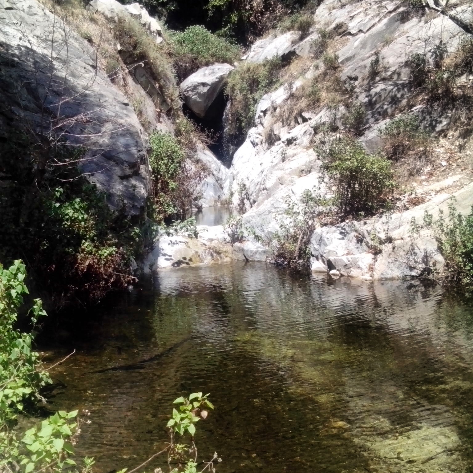 The KtKronicles Friday Hike Day Sturtevant Falls, Top of the Falls Trail