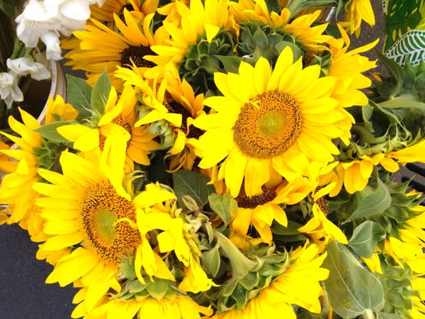 NowThisLife.com - Elk Grove Farmer's Market - sunflowers