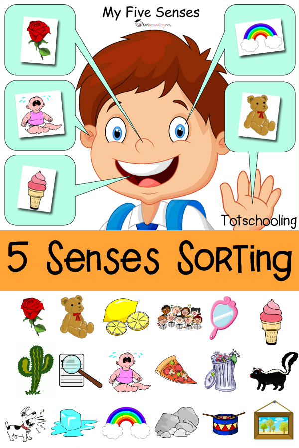 Five Senses Sorting Printable Free